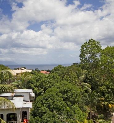 The Palm Seychelles – Entrée